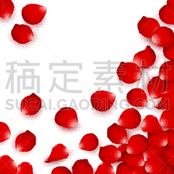 red rose petals valentines solated