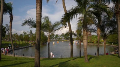 晴天珠海市名园湖全景 中国