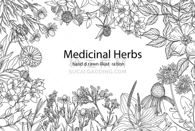 水平画幅,草药,单色调,茶,熏衣草,健康保健,圣约翰草,香料,Corn Marigold