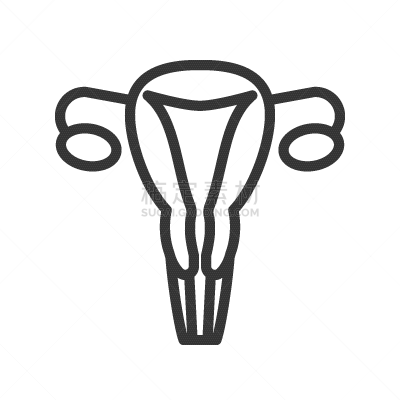 轮廓,计算机图标,女性生殖系统,卵巢,子宫颈,女人,顺序,科学