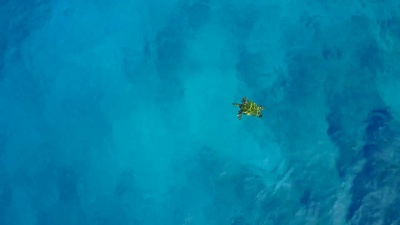 海龟在毛伊岛海岸无人驾驶飞机的优势下游泳