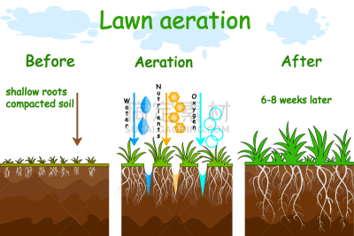 lawn aeration stage