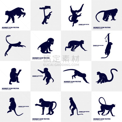 猴子,可爱的,野生动物,灵长目,猿,哺乳纲,剪影,设计,布置,坐