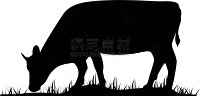 草,母牛,牲畜,牛,农业,食品,脊椎动物,哺乳纲,剪影,站