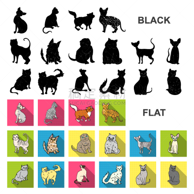 猫,平坦的,计算机图标,可爱的,纯种犬,沙尔特勒猫,哺乳纲,动物,收集