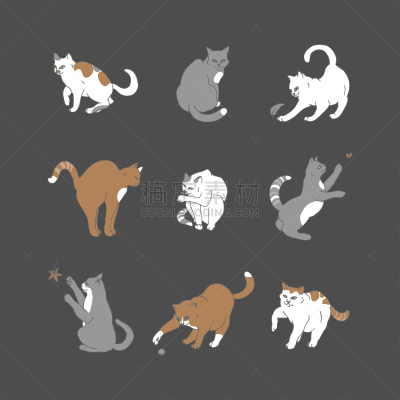 黑色,数字9,猫,动物手,绘制,布置