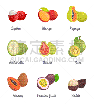 水果,木瓜,芒果,荔枝,山竹,夏天,形状,精神振作,清新,多样