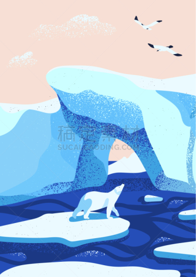 北极,冰,地形,平坦的,濒危物种,野生动物,环境,雪,哺乳纲,动物