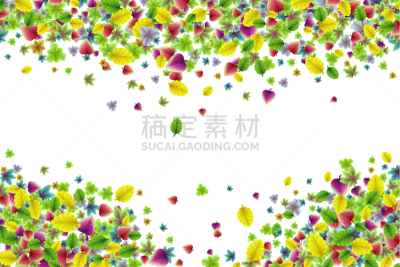 清新,叶子,植物园,多色的,背景聚焦,请柬,多样,传统节日,边界,问候