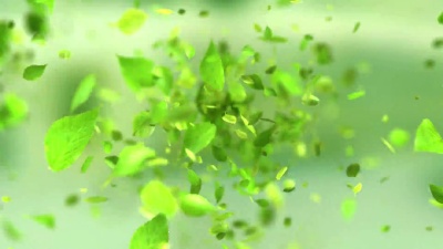  爆炸绿茶叶