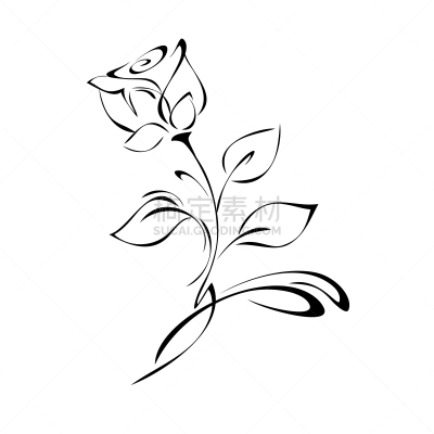装饰品,玫瑰,华丽的,卷着的,背景分离,女人,装饰物,植物,夏天,线条画