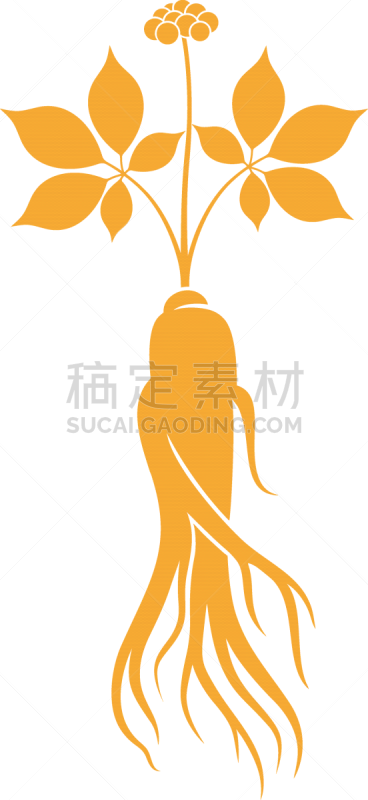 人参,品牌名称,分离着色,白色背景,清新,背景分离,营养品,中国食品,植物,夏天