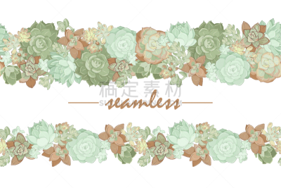 succulents