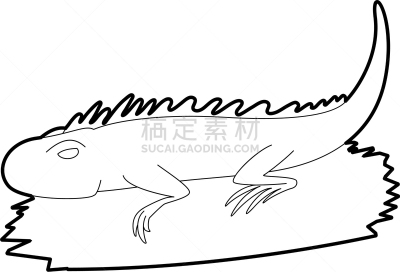 轮廓,鬣蜥蜴,计算机图标,分离着色,宠物,自然,野生动物,图像,蛇,弯曲