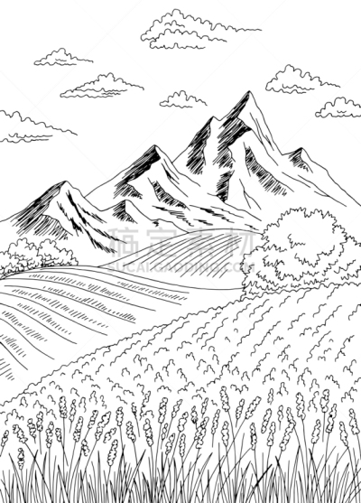 地形,田地,黑色,绘画插图,草图,白色,矢量,垂直画幅,插画