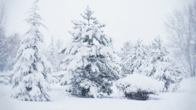 下雪|可循环