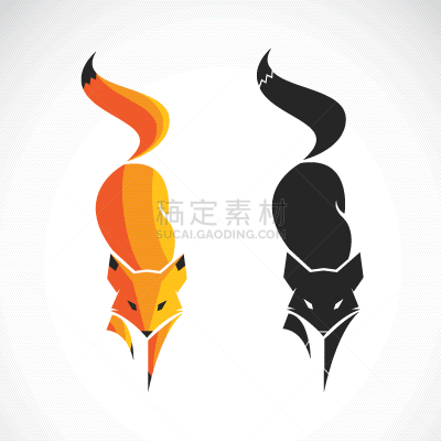 狐狸,野外动物,白色背景,可爱的,野生动物,简单,狗,自然美,设计