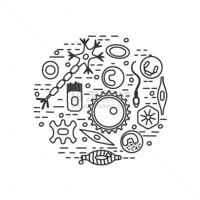 个性,白色,生物学,健康保健,嗜中性粒细胞,显微镜,人,打字,生病