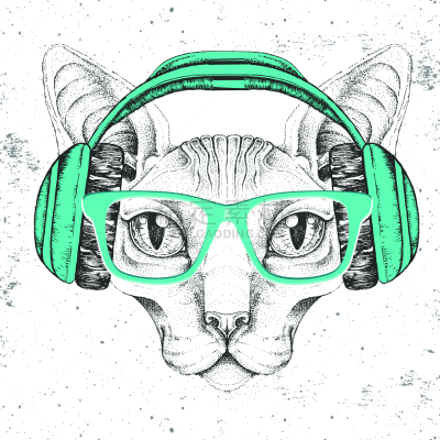 动物,猫,潮人,史芬克斯无毛猫,耳机,绘画插图,动物手,动物鼻子,背景分离,野生动物
