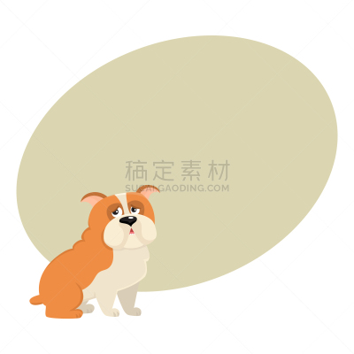 分离着色,可爱的,狗,性格,英格兰斗牛犬,白色,宠物,纯种犬,肖像,图像