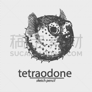 房地产,海洋,草图,鱼肉,梳子,海产,渔业,螯虾,渴望,猜疑