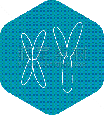 轮廓,染色体,计算机图标,时尚,老色迷,打叉,白色,生物学,有机食品