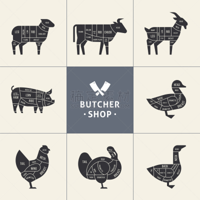 肉店,动物,计划书,菜单,部分,食品,猪,图表,牛,烹调
