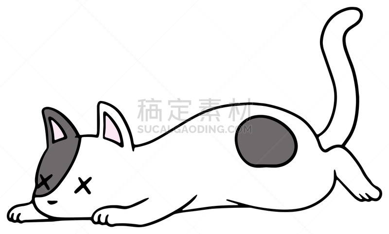 矢量,绘画插图,猫,惊骇,十二生肖,恐怖,简单,动物,宠物商店