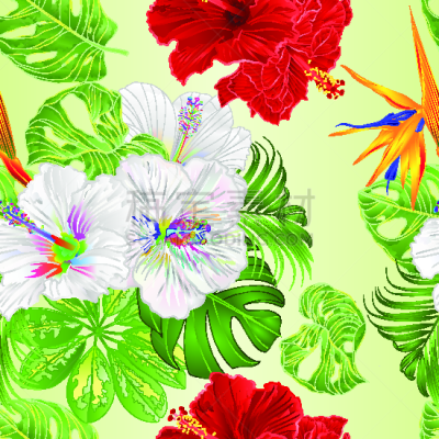 干酪藤,纹理,绘画插图,红色,喜林芋属,木槿属,天堂鸟花,多色的,花束,矢量