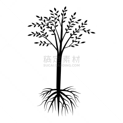 黑色,根部,王冠,白色背景,生物学,农业,一个物体,背景分离,树,离开