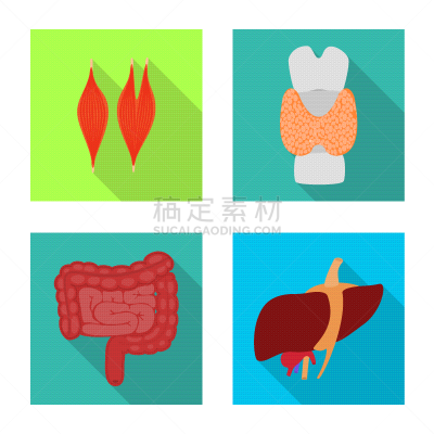 分离着色,健康保健,人,标志,人造物,生物学,背的，脊的,身体受伤,整形器具,收集