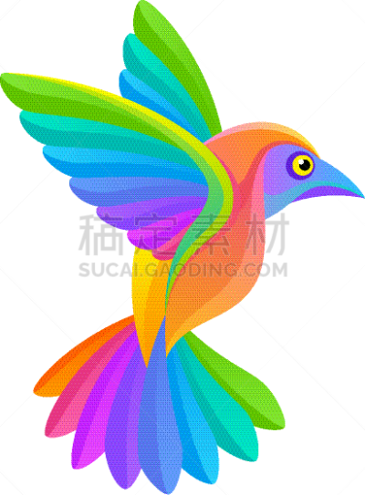 鸟类,彩虹,可爱的,背景分离,自由,热带气候,野生动物,翅膀,小的,动物
