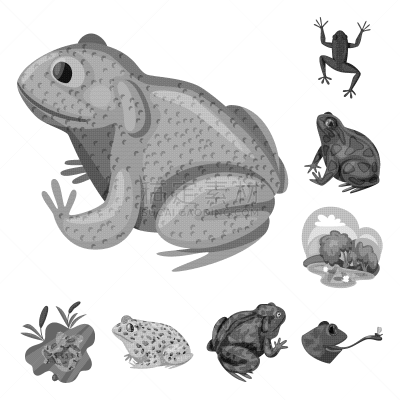 自然,野生植物,符号,生物学,灰色,野生动物,环境,青蛙,莫诺湖,设计