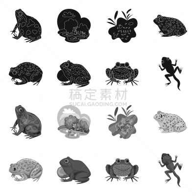 野生动物,分离着色,藓沼,计算机图标,一个物体,生物学,有毒物质,环境,青蛙,草