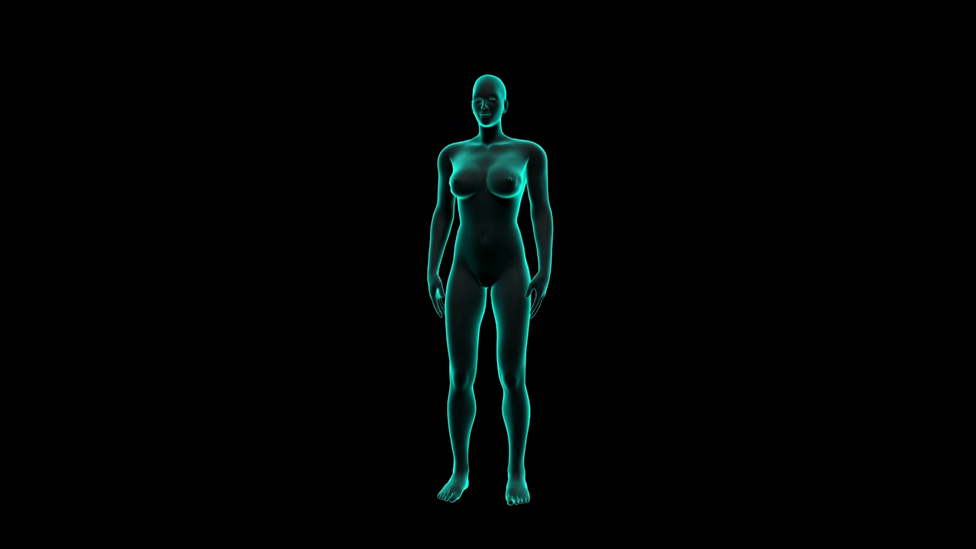女性身体扫描内脏，消化系统。X光图像。