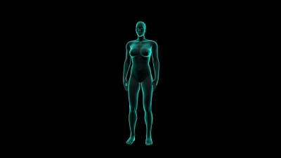 女性身体扫描内脏，消化系统。X光图像。