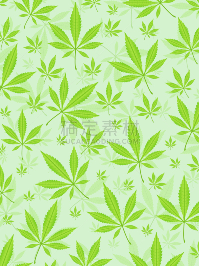 叶子,背景,矢量,植物,绿色,壁纸,图像