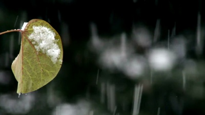 秋天第一场雪