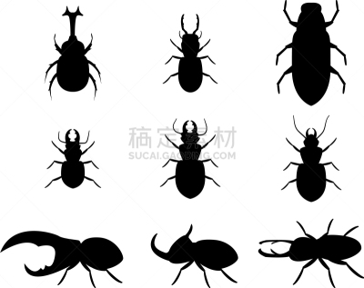 鹿角锹虫,分离着色,自然,图像,甲虫,巨大的,Japanese Stag Beetle,圣甲虫,犀牛,剪影