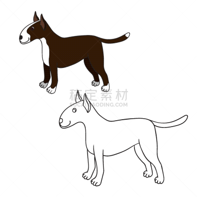 分离着色,可爱的,白色,卡通,轮廓,宠物,纯种犬,梗犬,图像,公牛