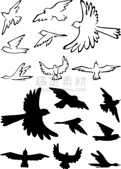 鸟类,轮廓,白色背景,图像,天鹅,海鸥,矢量,庞蒂克火鸟,飞,剪影