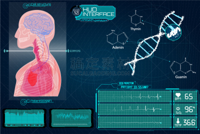 健康保健,移动应用程序,医学扫描仪器,正下方视角,动物头,生物学,人,图表,心电图