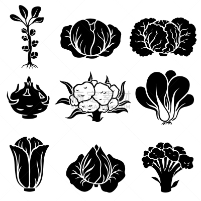 甘蓝,图标集,蔬菜,环境,食品,西兰花,花椰菜,皱叶甘蓝,数码图形,剪影