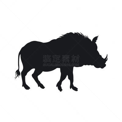 非洲,黑色,公猪,分离着色,亚洲,自然,野生动物,疣猪,剪影