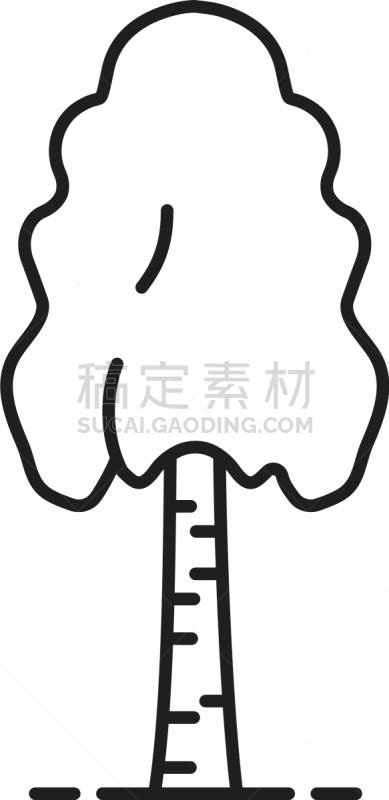 birch tree linear icon