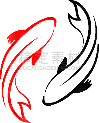 动物,鲤鱼,锦鲤,白色背景,式样,鱼类,传统,池塘,自然美