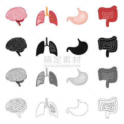 生物学,科学,标志,酸,健康保健,植物群,空肠,脑回,设计,思考