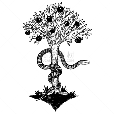 蛇,雕刻图像,新生活,木版画,分离着色,白色,白色背景,树,想象