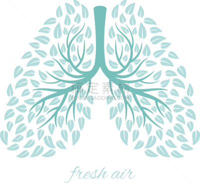 叶子,人类肺脏,生物学,活力,健康保健,环境,结核杆菌,植物,复兴时期风格,生长