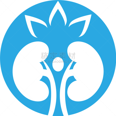 肾脏,生物学,健康保健,部分,家庭,门诊部,模板,品牌名称